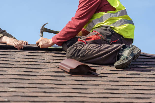 Best Gutter Installation and Roofing  in Shoreline, WA