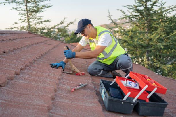 Roof Repair Estimates in Shoreline, WA